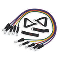 Resistance Band Kit with 5 Exercise Bands, Ankle/Wrist Strap, Padded Handles, Door Anchor, Carry Bag D84531