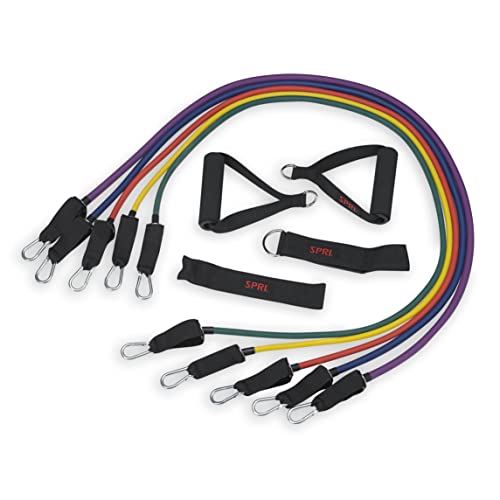 Resistance Band Kit with 5 Exercise Bands, Ankle/Wrist Strap, Padded Handles, Door Anchor, Carry Bag D84531