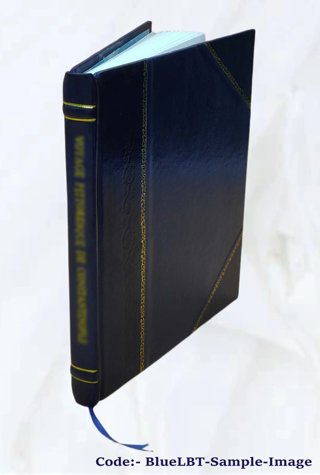 Pacific Coast Travel Guide 1916 Leather Bound Y8144