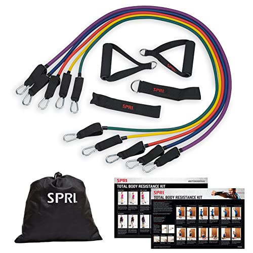 Resistance Band Kit with 5 Exercise Bands, Ankle/Wrist Strap, Padded Handles, Door Anchor, Carry Bag D84531
