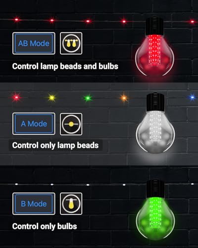 50Ft RGBw Color Changing Dimmable String Lights L1386