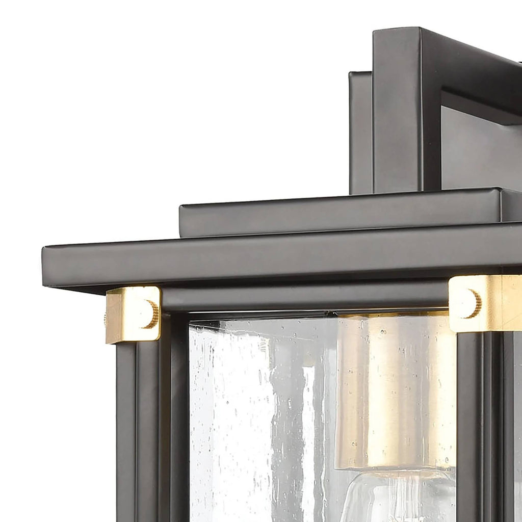Matte Black 1-Light Sconce with Seedy Glass D4734
