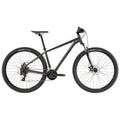 Graphite Mountain Bike I310