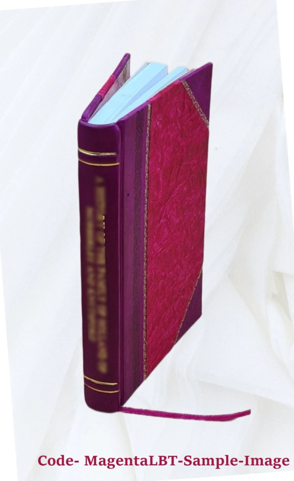 Pacific Coast Travel Guide 1916 Leather Bound Y8144