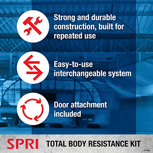 Resistance Band Kit with 5 Exercise Bands, Ankle/Wrist Strap, Padded Handles, Door Anchor, Carry Bag D84531