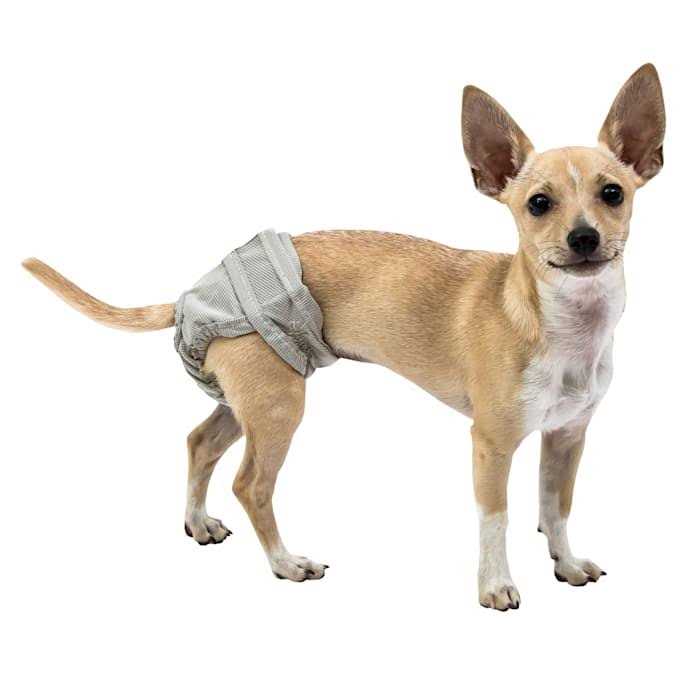Large Pet Supplies J289760