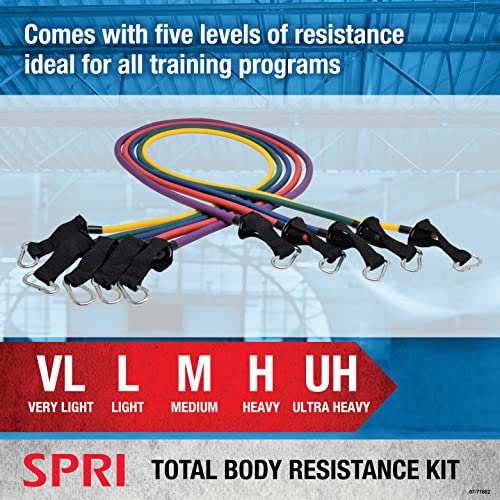 Resistance Band Kit with 5 Exercise Bands, Ankle/Wrist Strap, Padded Handles, Door Anchor, Carry Bag D84531