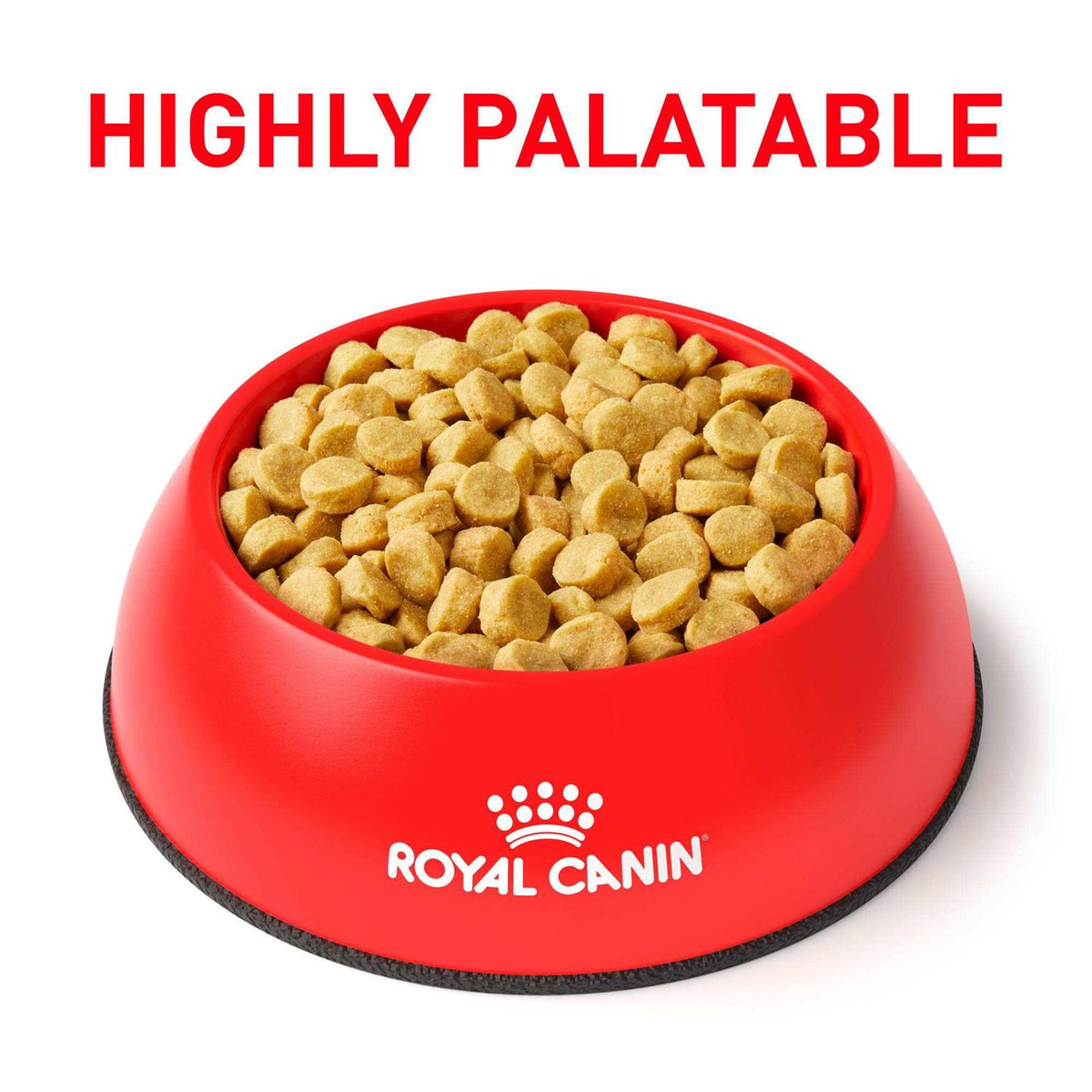 Hydrolyzed Protein Dry Dog Food A5926