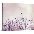 Canvas Photographic Print Y924