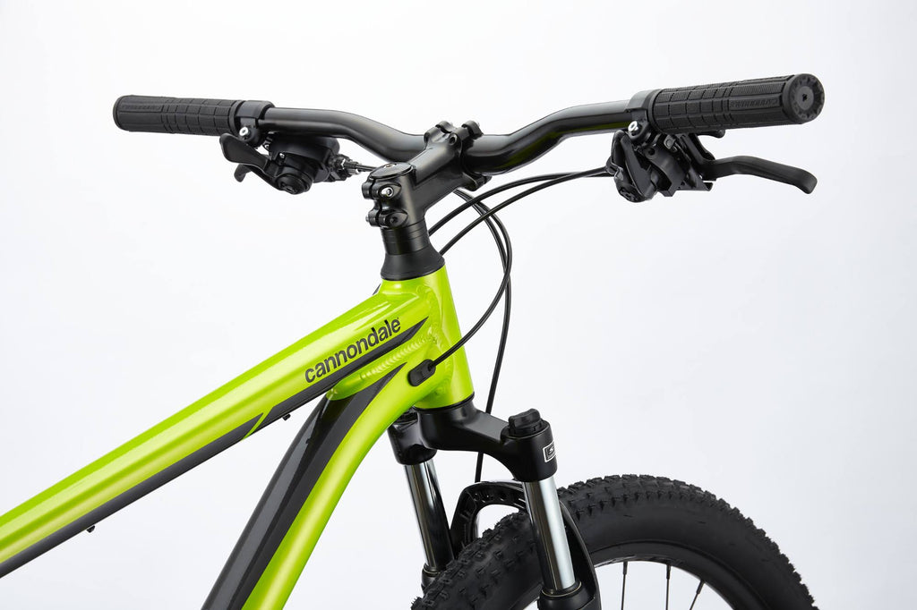 Graphite Mountain Bike I310