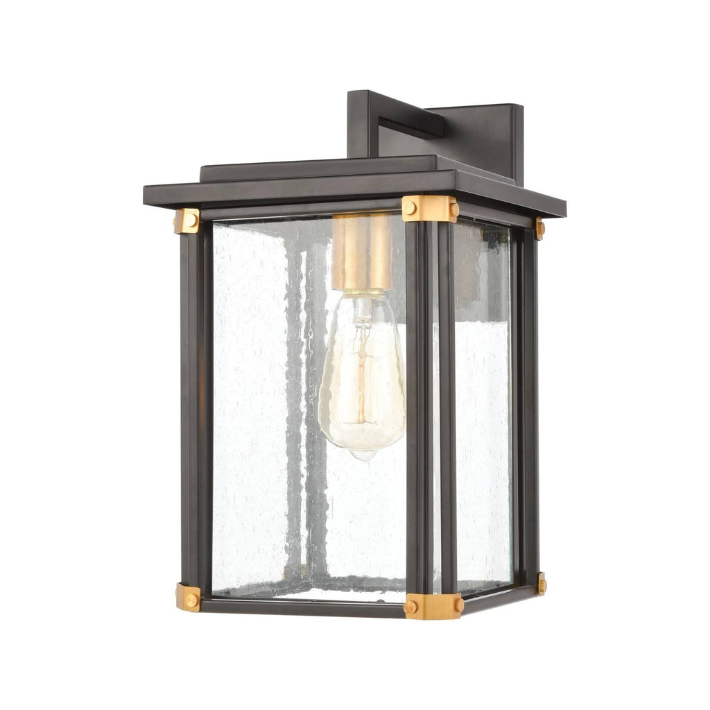 Matte Black 1-Light Sconce with Seedy Glass D4734