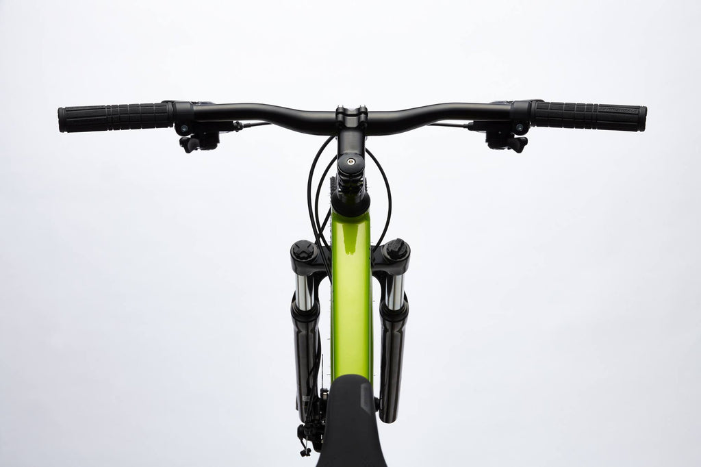 Graphite Mountain Bike I310