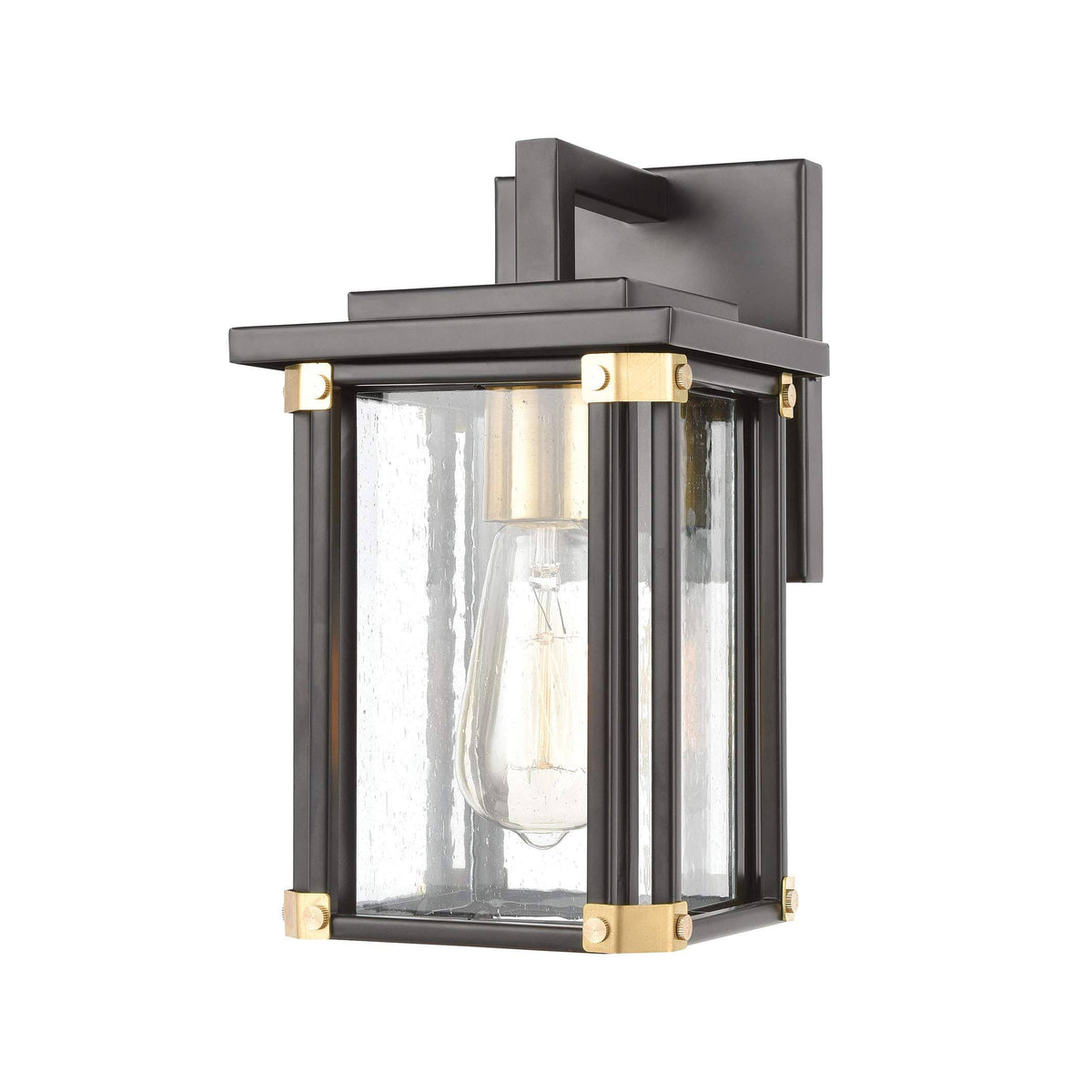 Matte Black 1-Light Sconce with Seedy Glass D4734