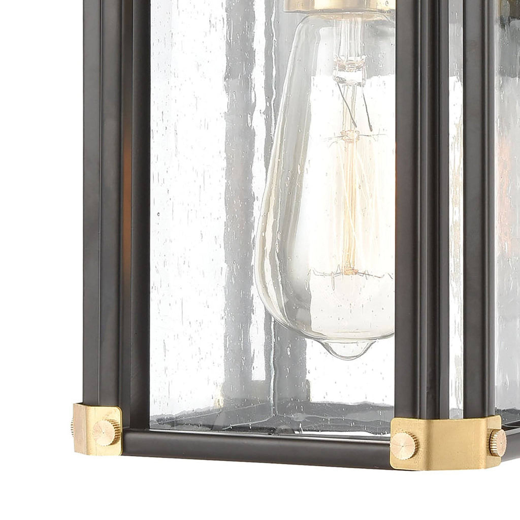 Matte Black 1-Light Sconce with Seedy Glass D4734