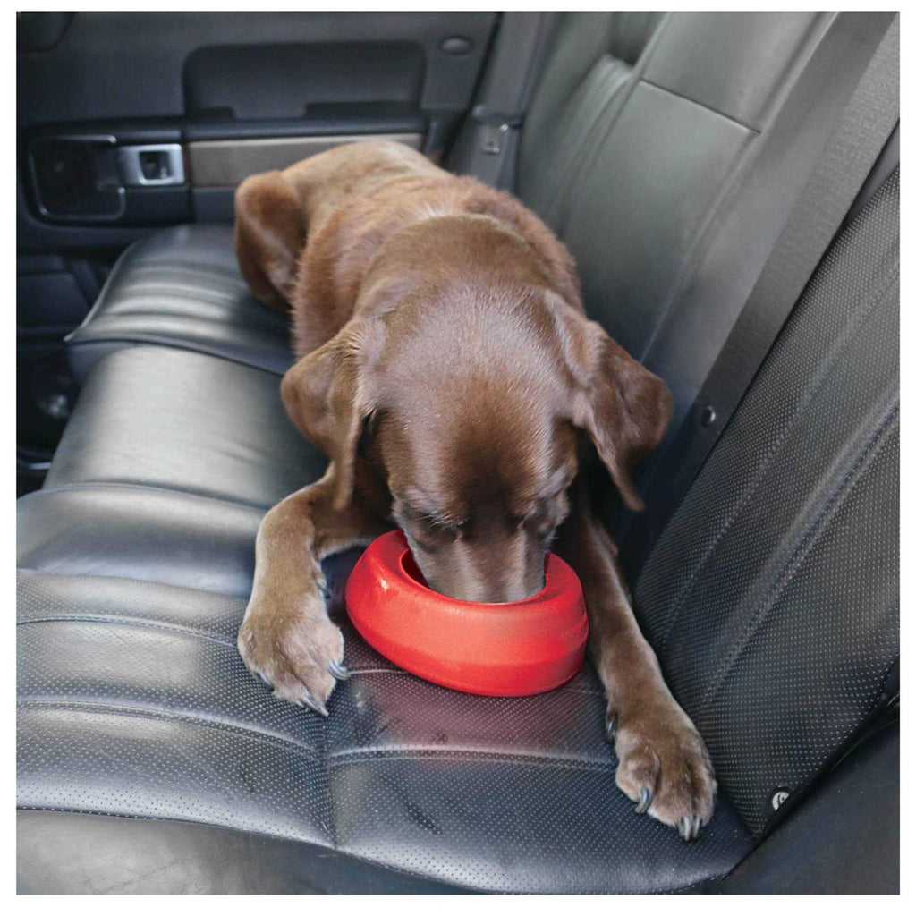 Water Bowl J96898
